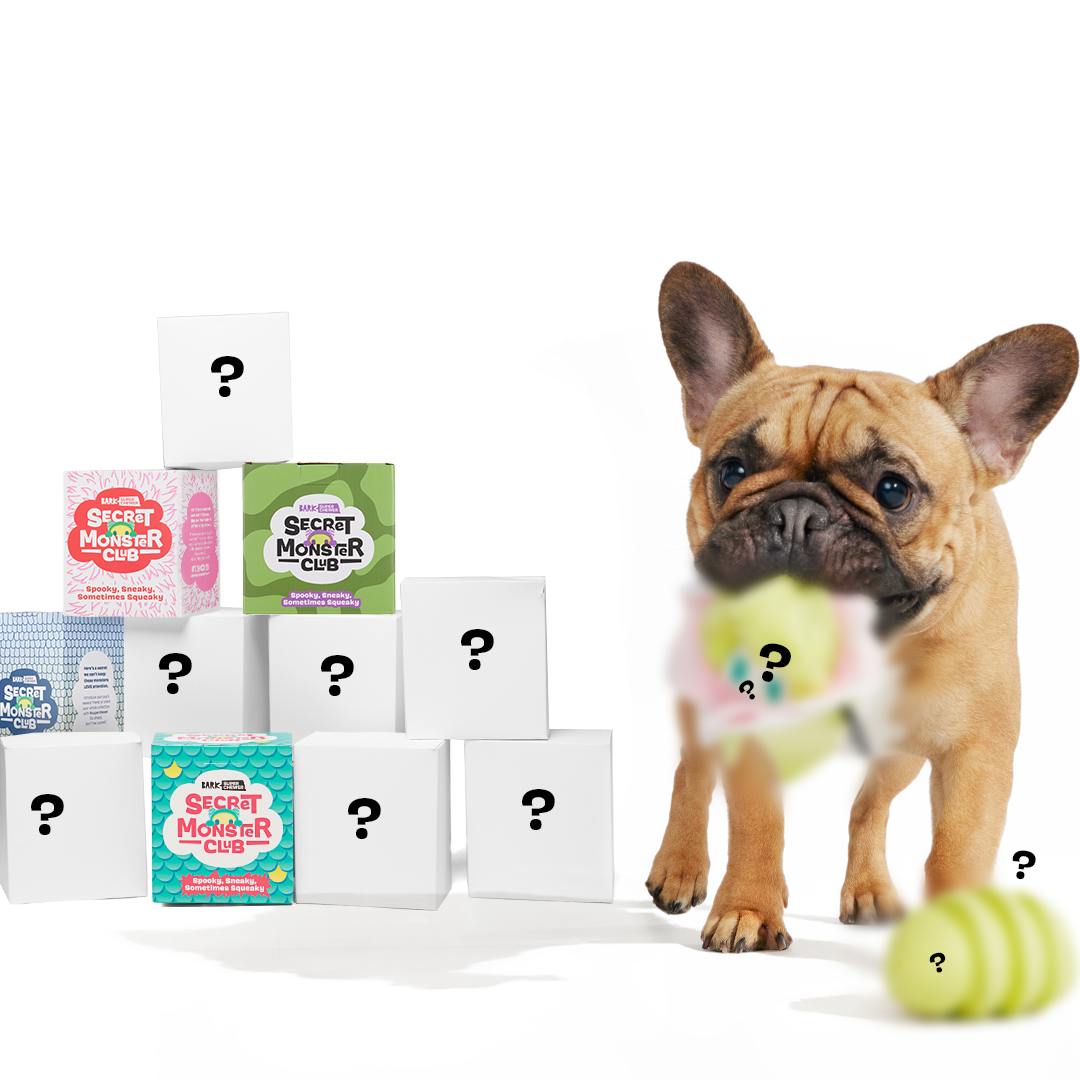 Secret Monster Club, Super Chewer Durable 2-in-1 Rip and Reveal Monthly Dog Toys