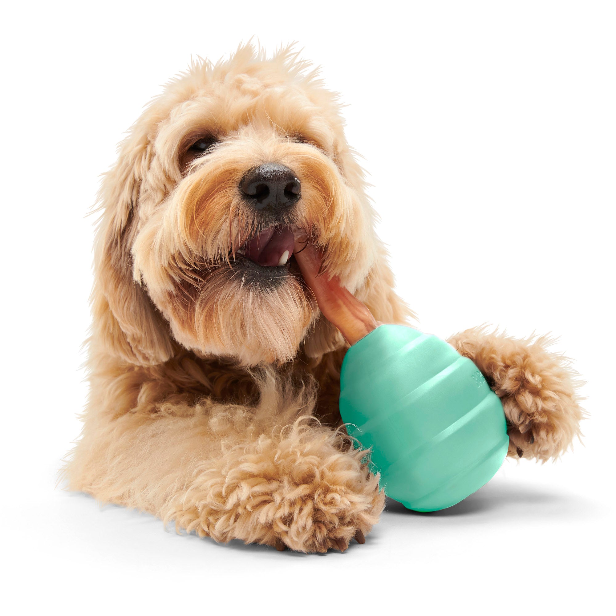 BARK Titan - Treat Dispensing Dog Toy