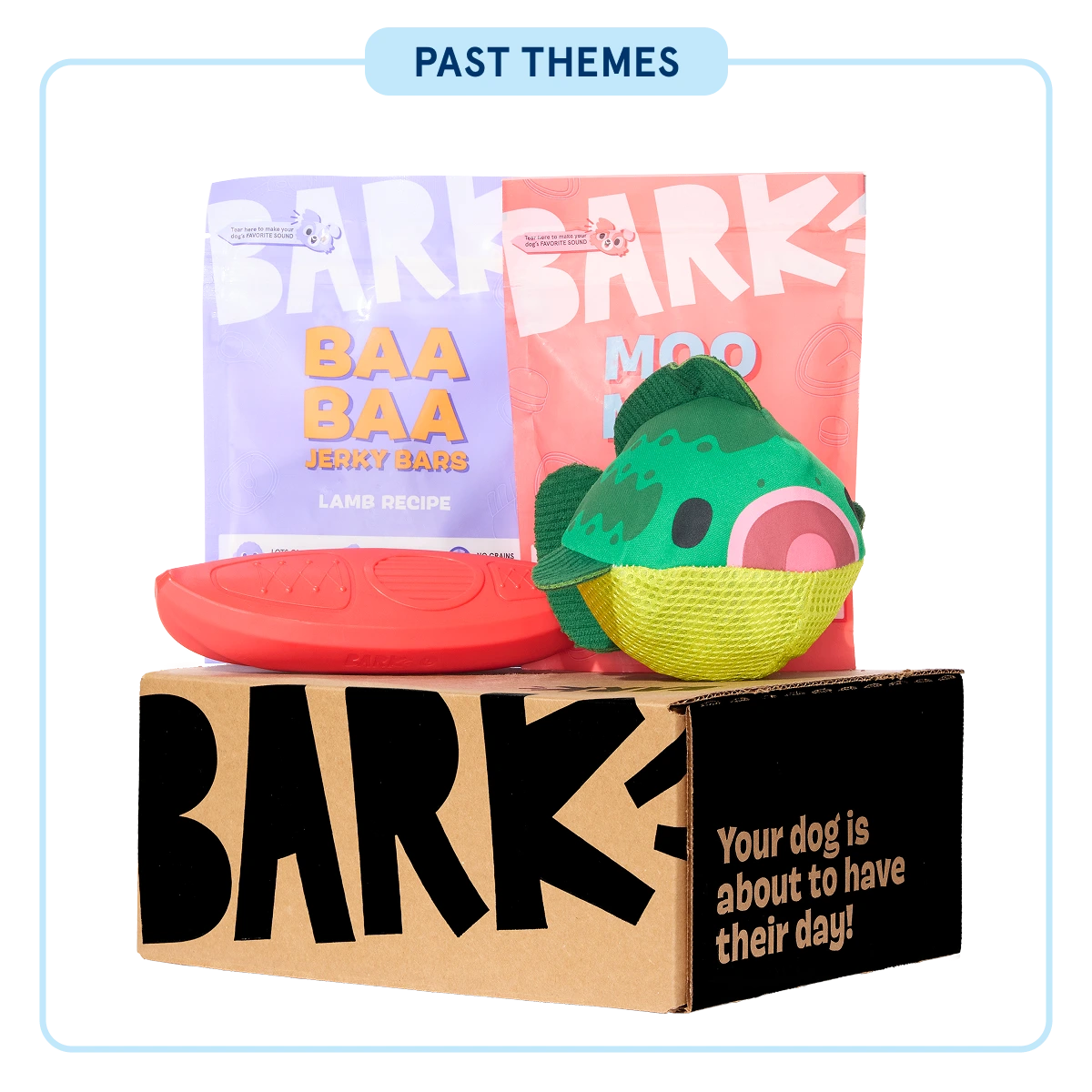 Super Chewer - One Month Gift Box