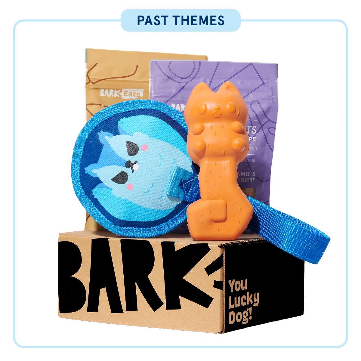 Super Chewer - One Month Gift Box