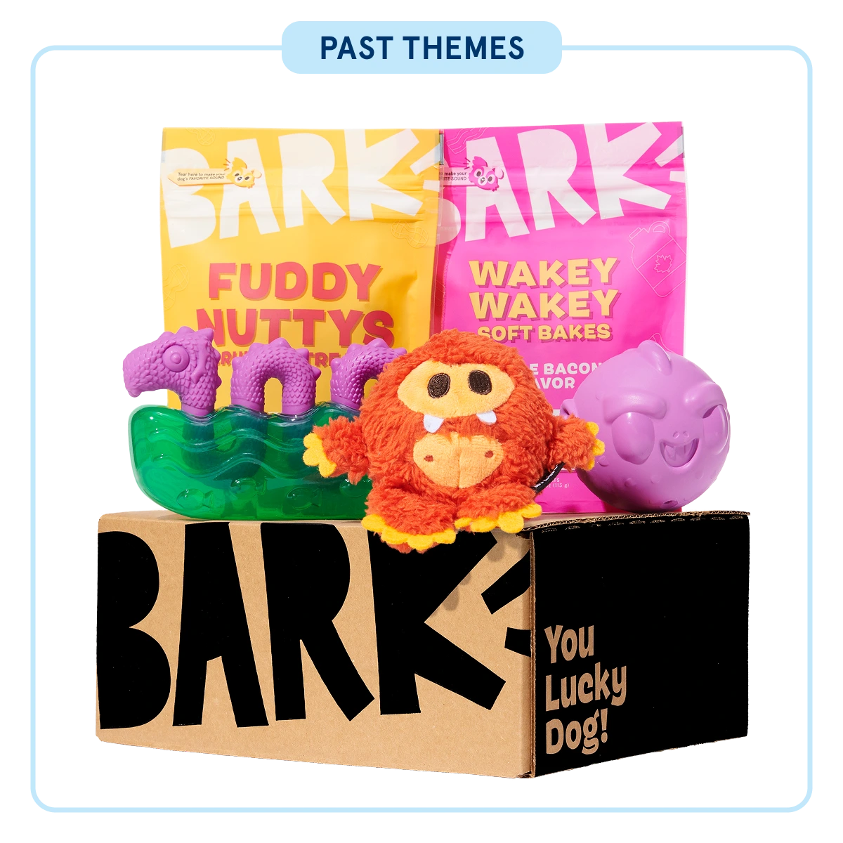 Super Chewer - One Month Gift Box