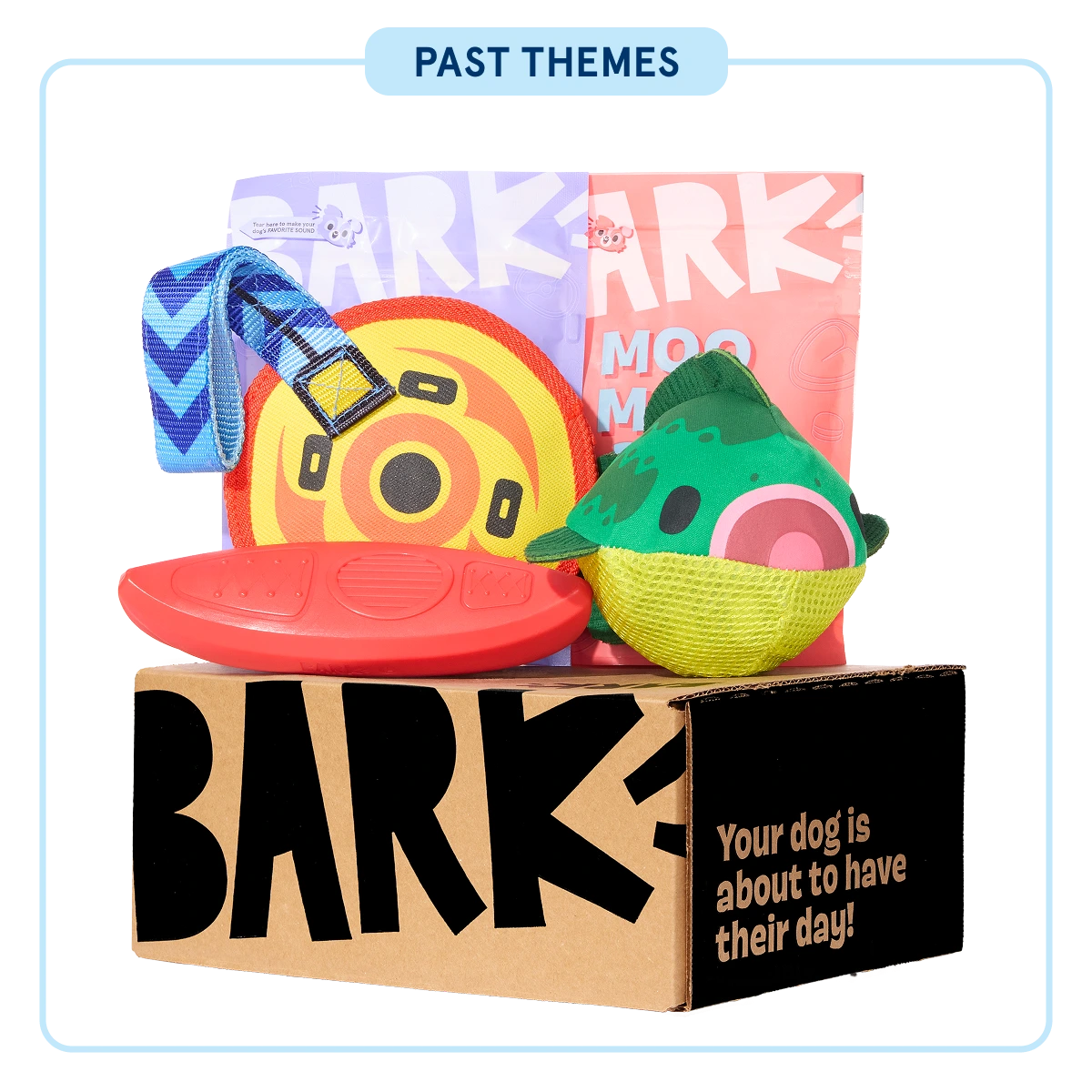 Super Chewer - One Month Gift Box