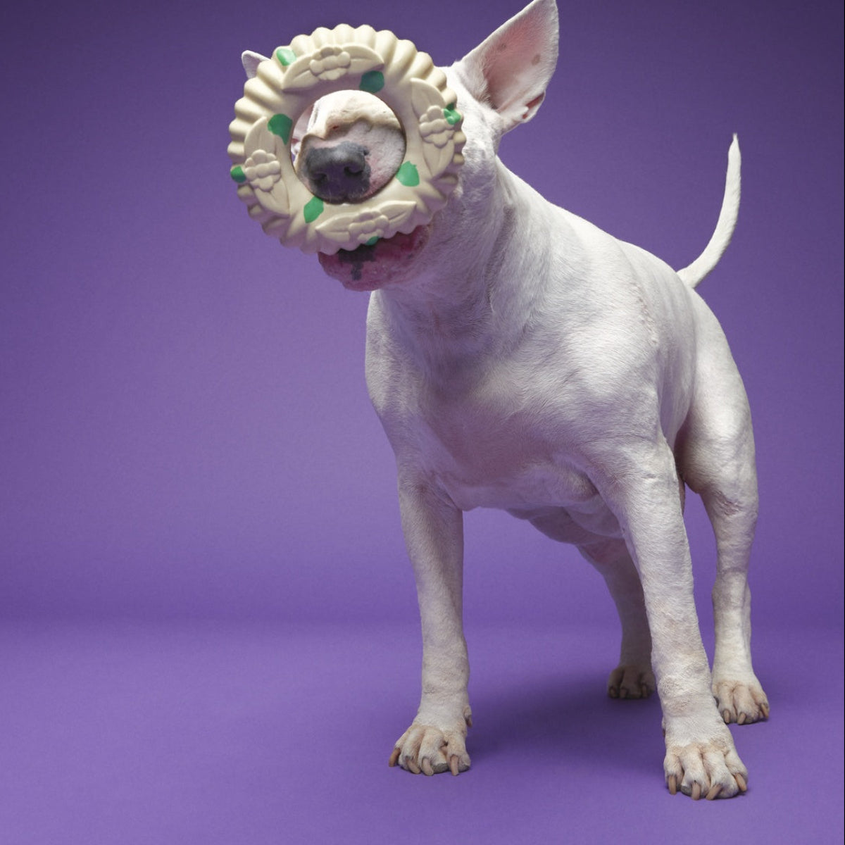 Virgo Ring Toss Super Chewer Durable Enrichment Dog Toy