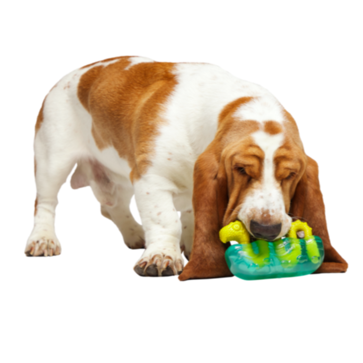 The Dogness Monster Super Chewer Durable Gnaw Dog Toy