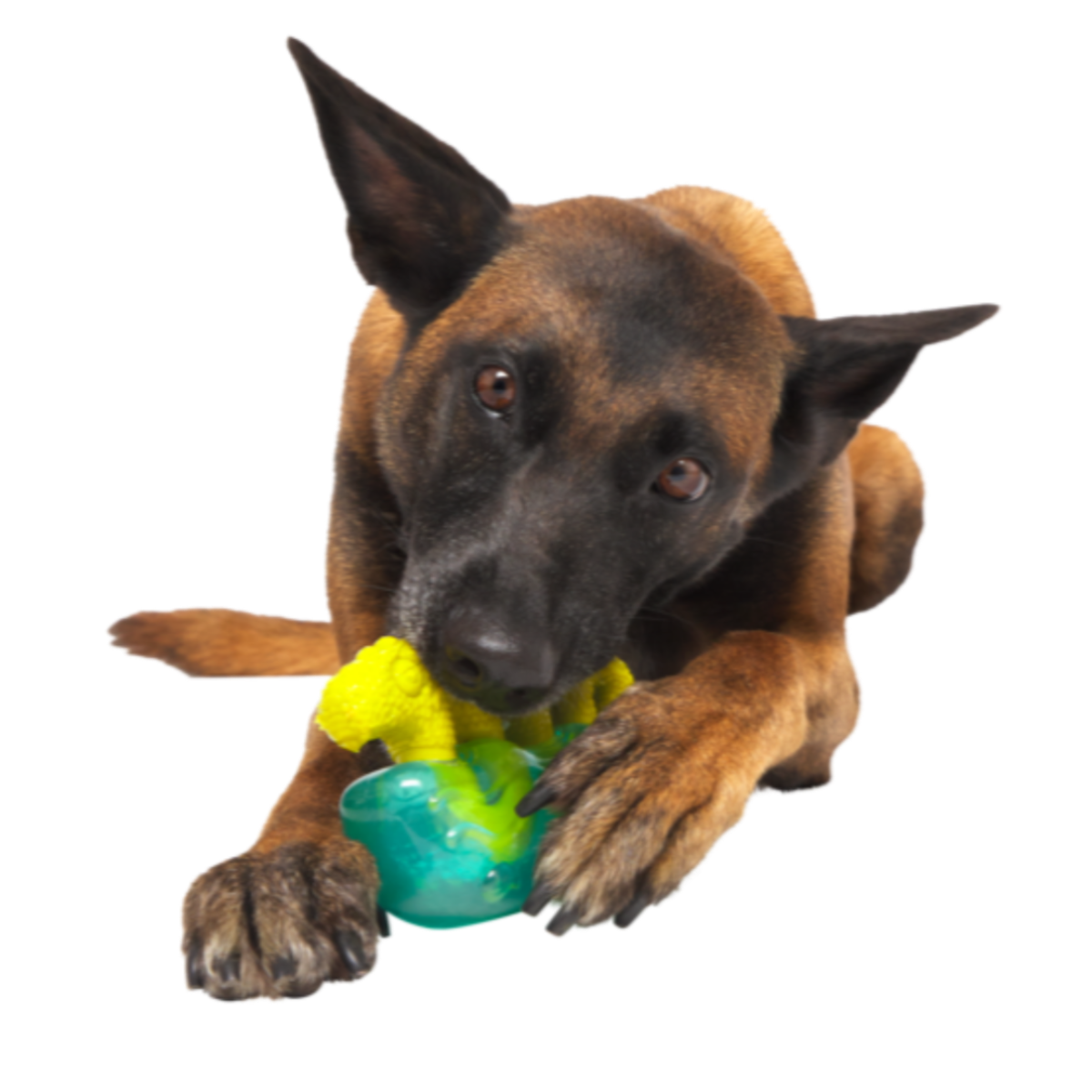 The Dogness Monster Super Chewer Durable Gnaw Dog Toy