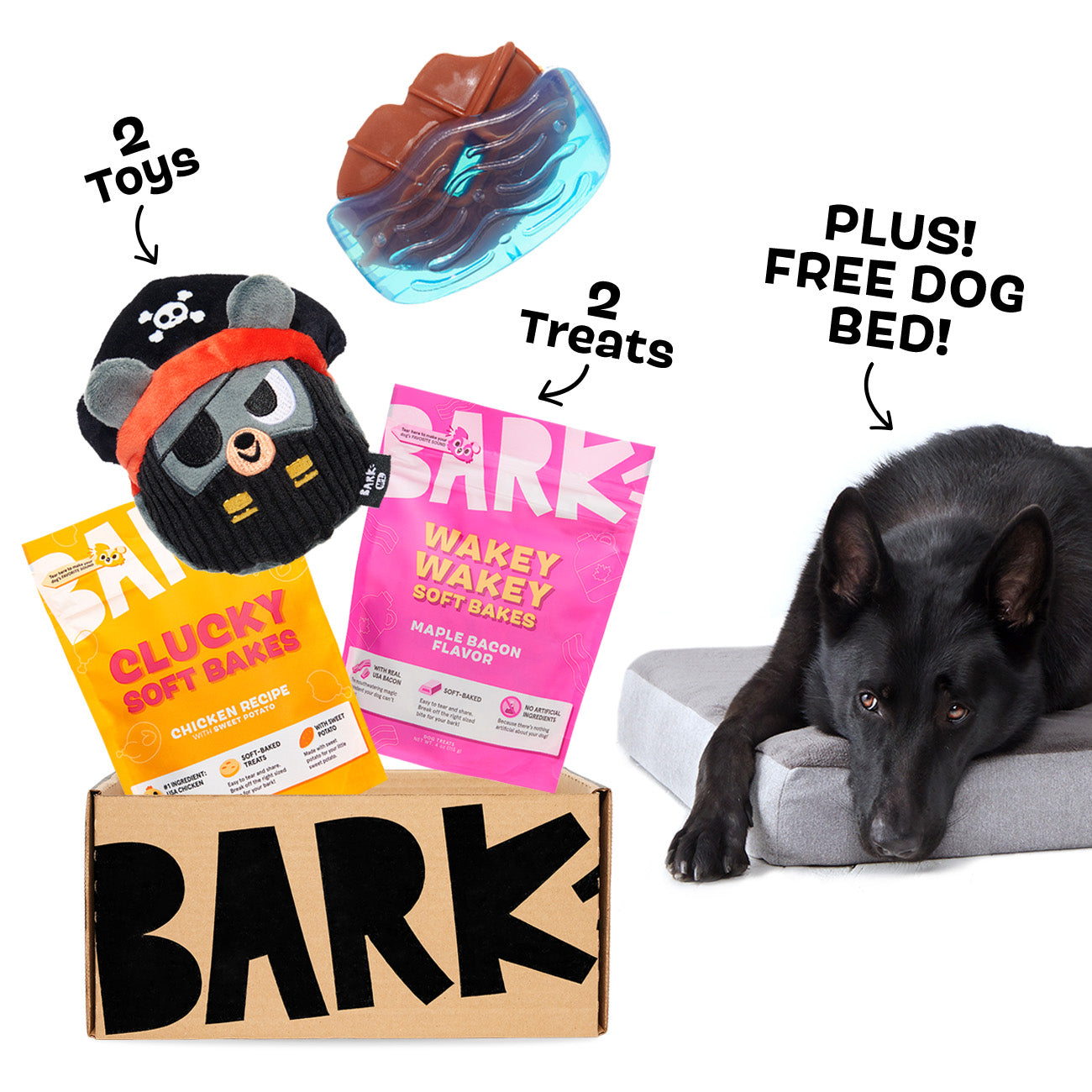 SuperChewer + Free Dog Bed: 6 Month Subscription