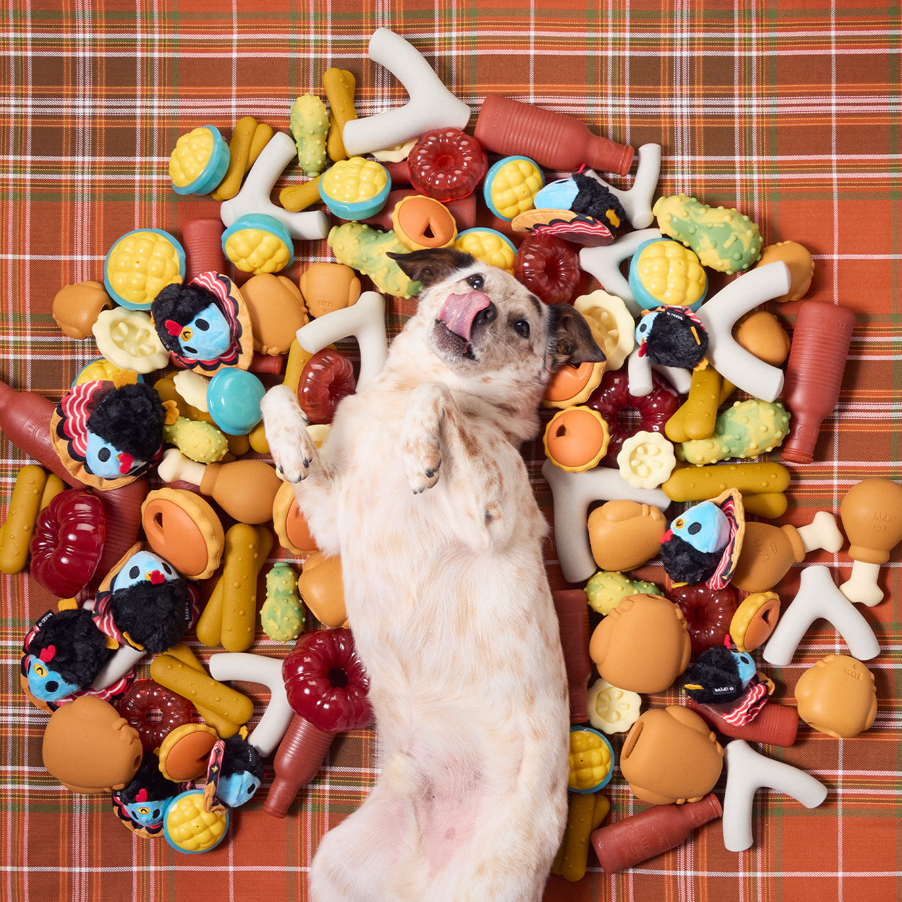 Super Chewer 12 Month Subscription - 50% off First Box