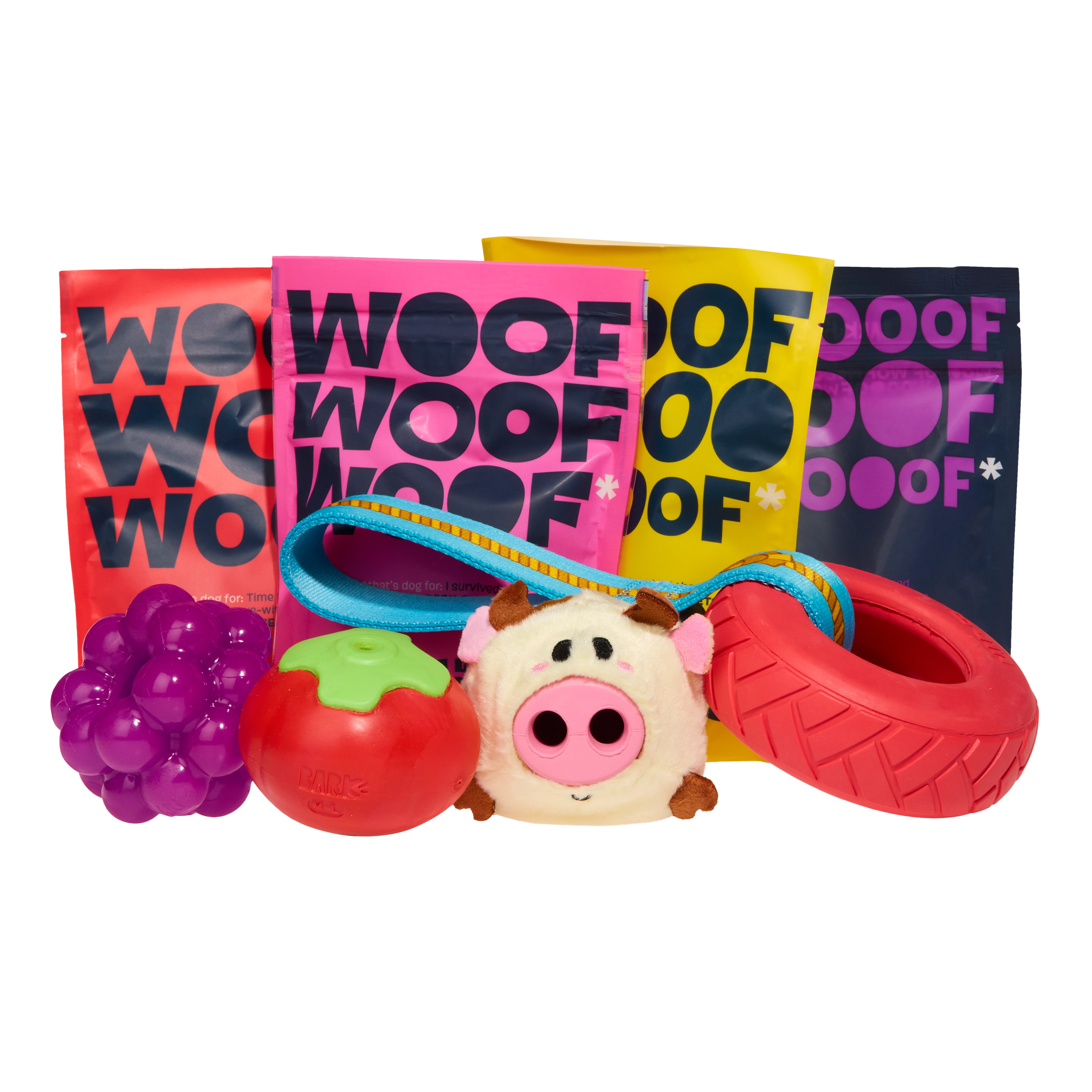 BARK 6 Month Subscription - FREE Extra Toys