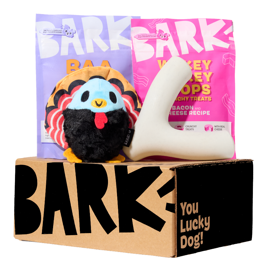 barkbox with small turkey toy and wishbone