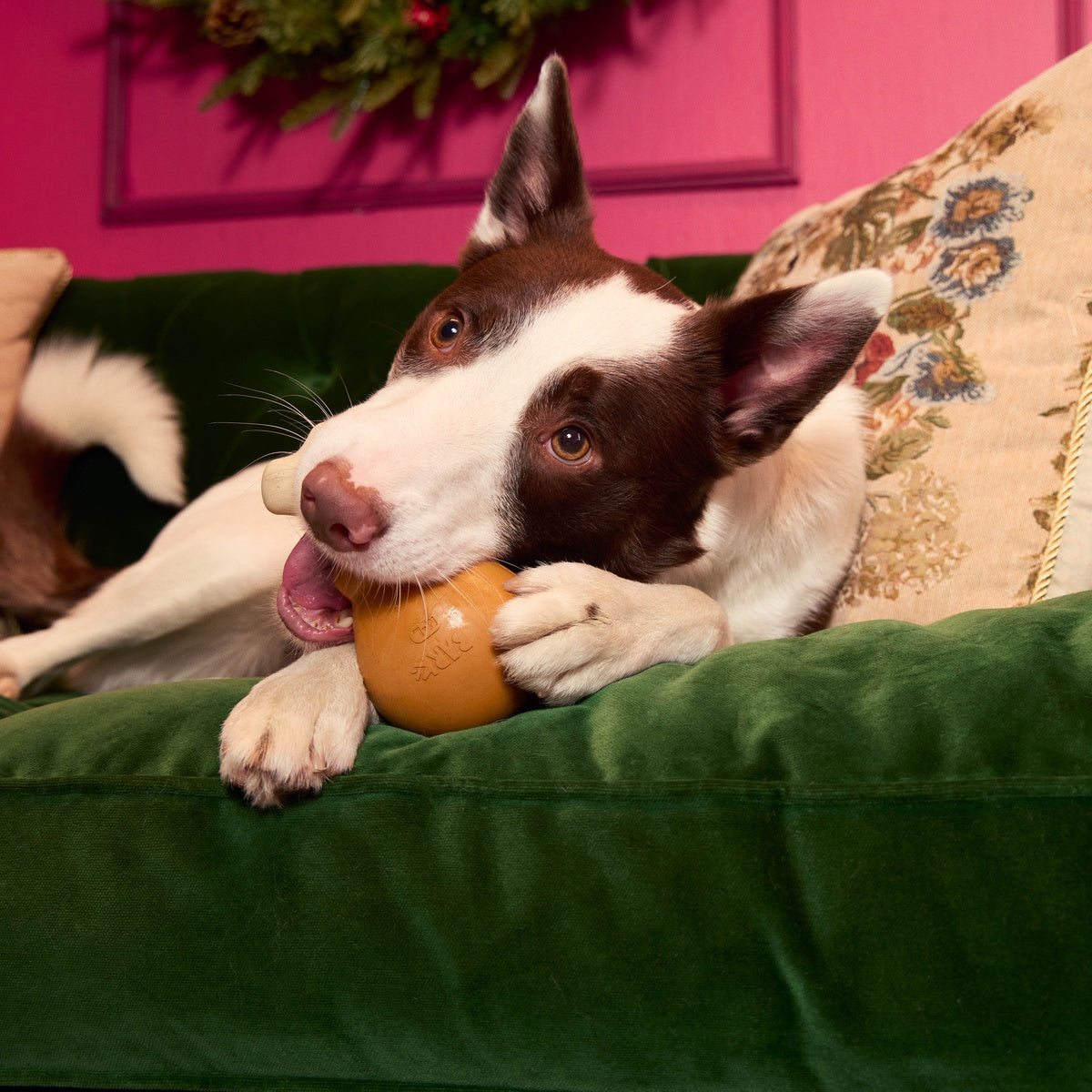 Turkey Day Drumstick