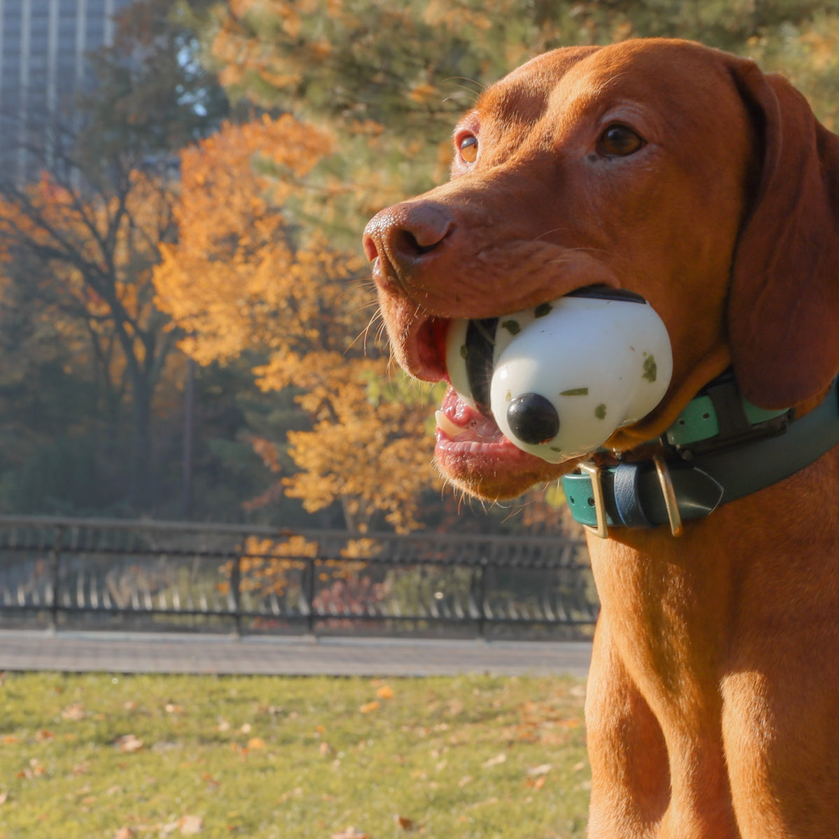 Snoopy Durable Super Chewer Dog Toy – BARK