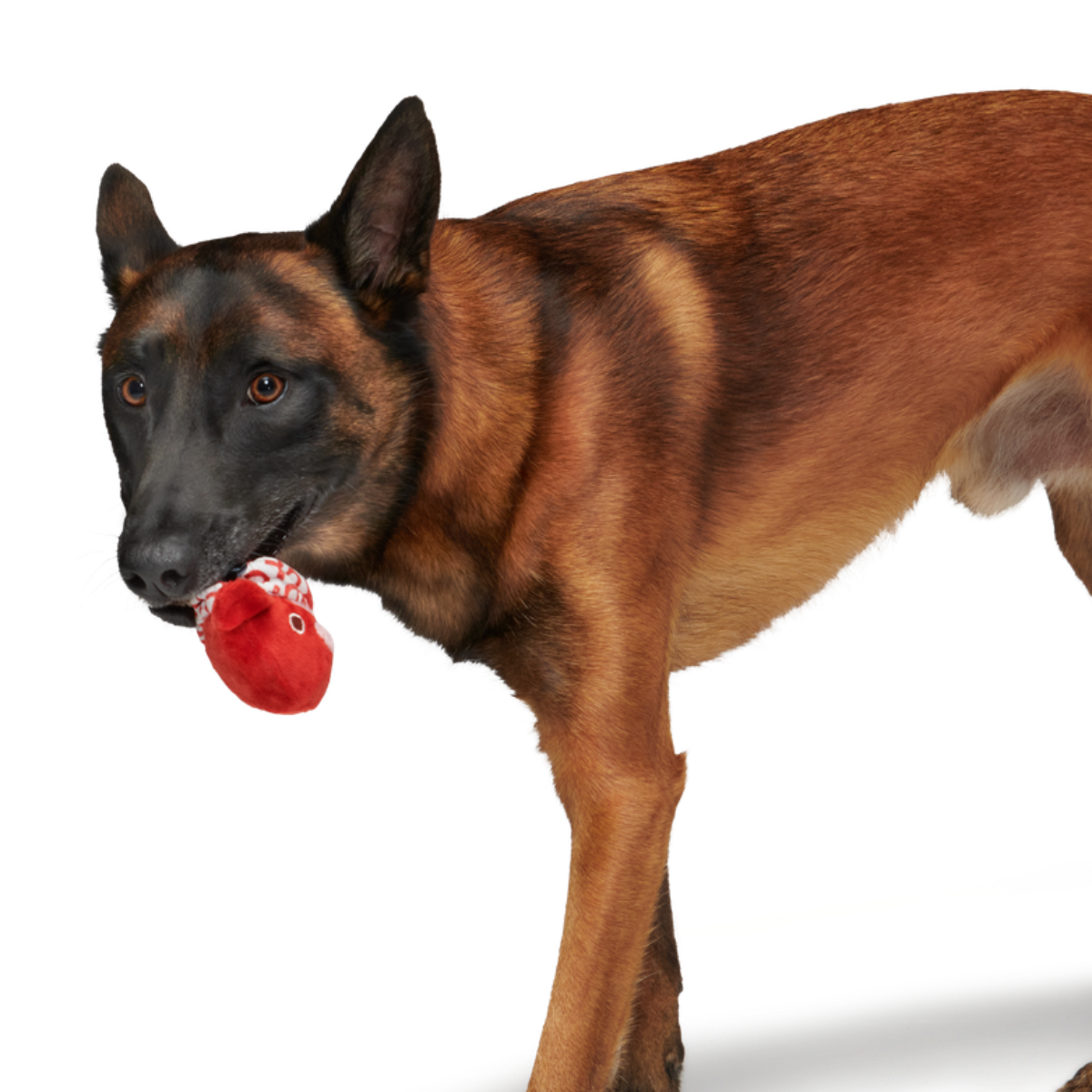 Puppy Love Penguin Durable Super Chewer 2-in-1 Rip and Reveal + Enrichment Dog Toy