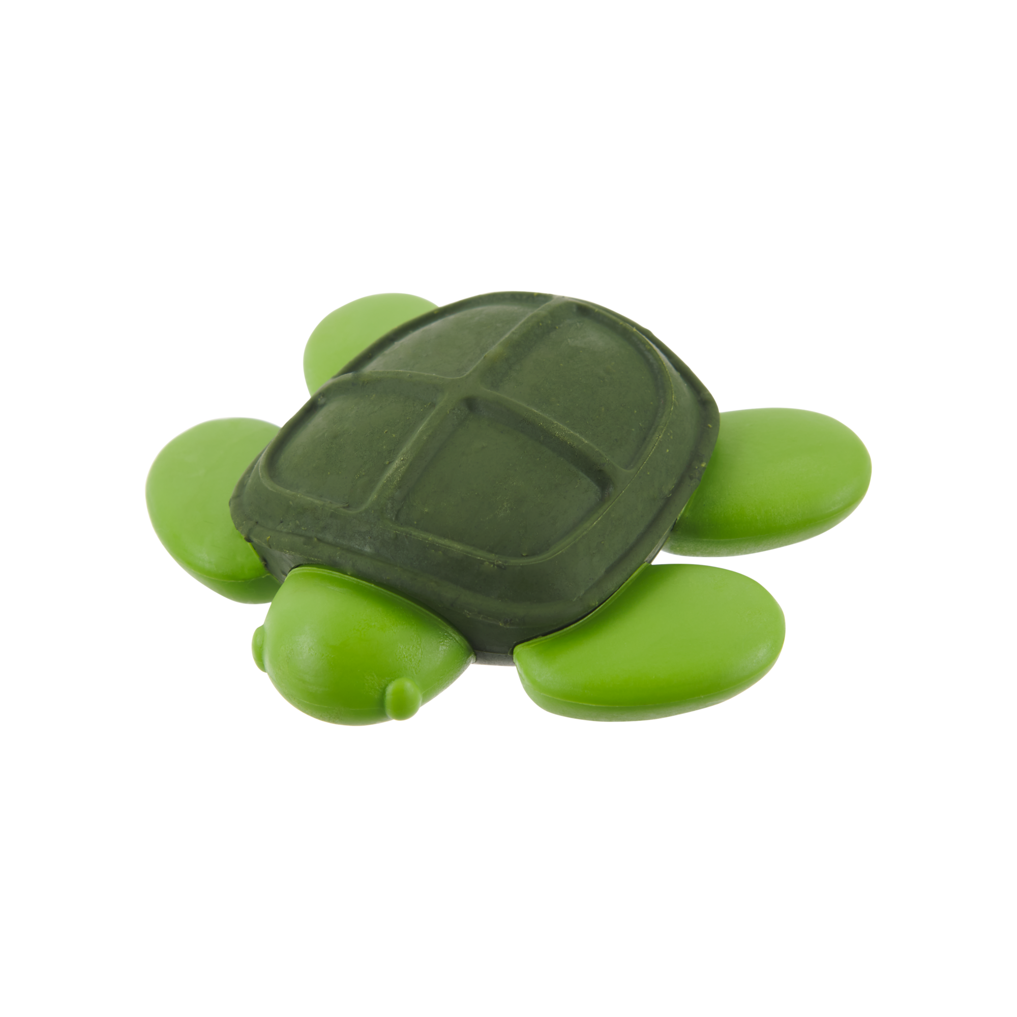 Myrtle Sea Turtle