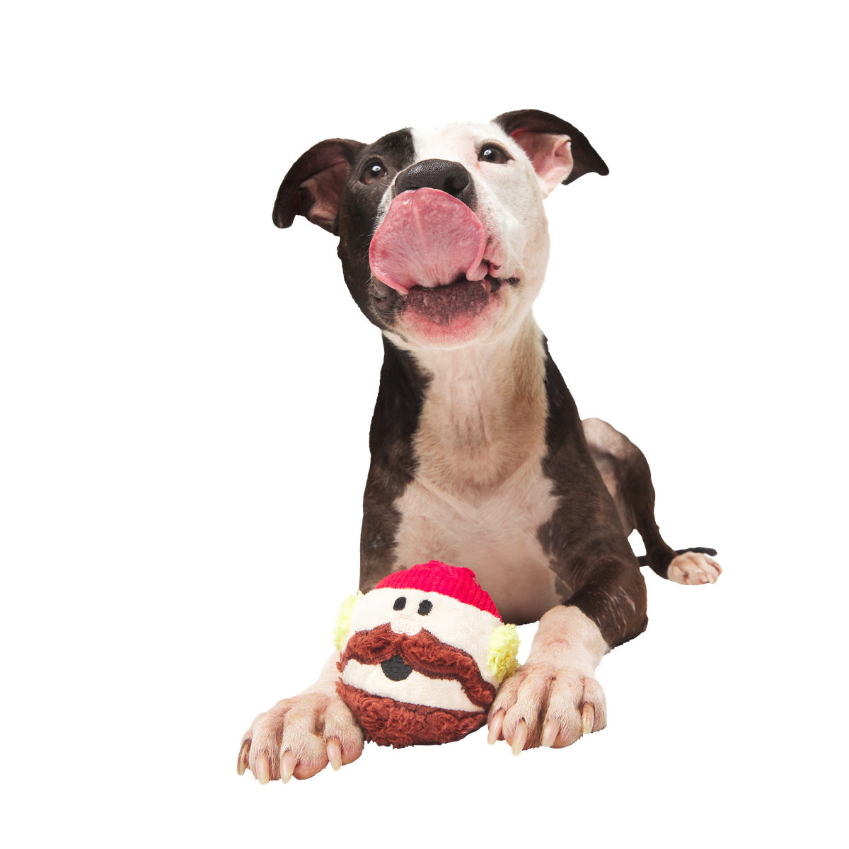 Rudolph® Holiday Gift Super Chewer Box#Extra Toy_Double Deluxe