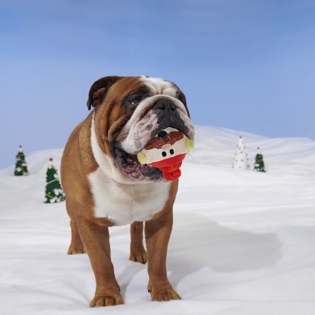 Rudolph® Holiday Gift Super Chewer Box#Extra Toy_Double Deluxe