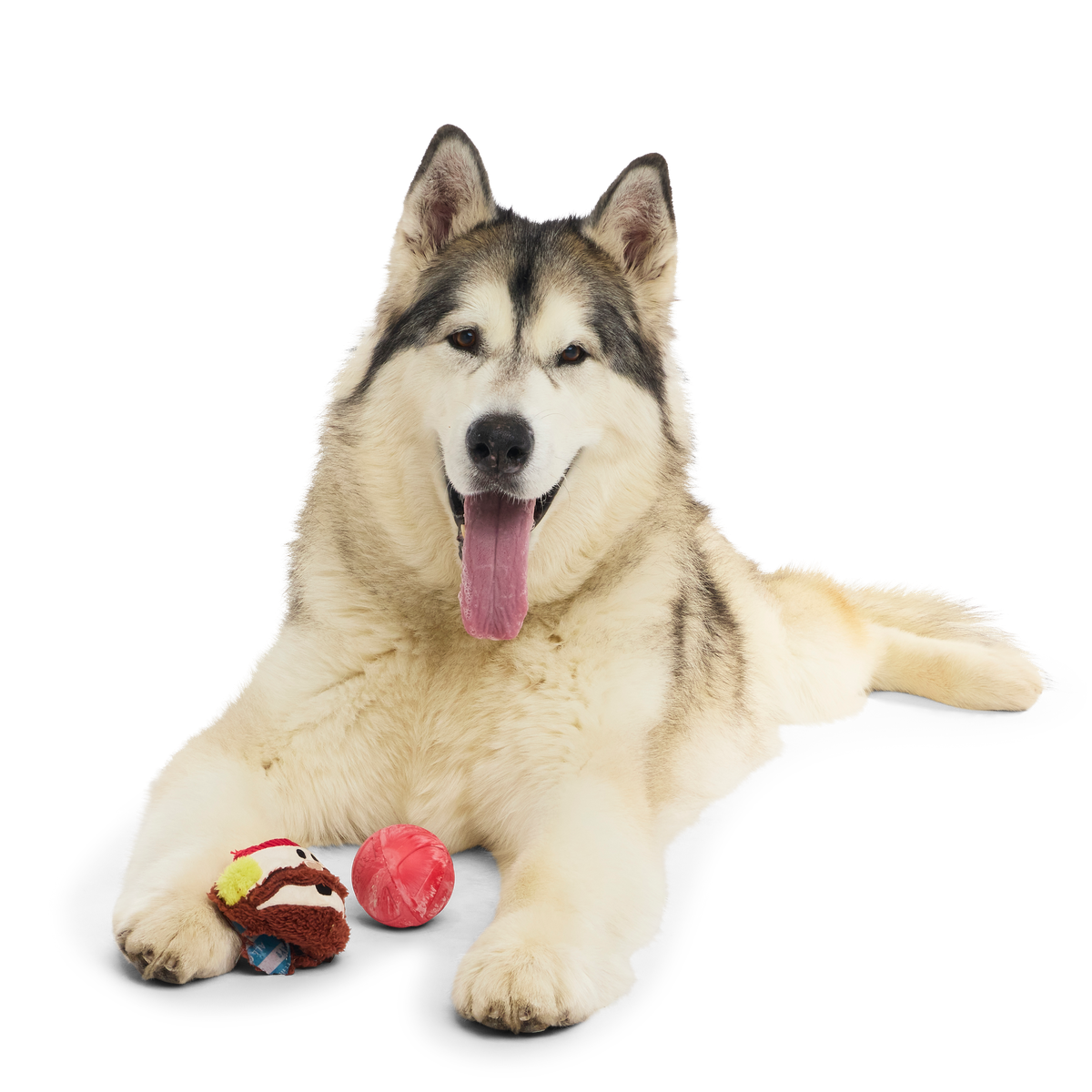 Rudolph® Holiday Gift Super Chewer Box#Extra Toy_Double Deluxe