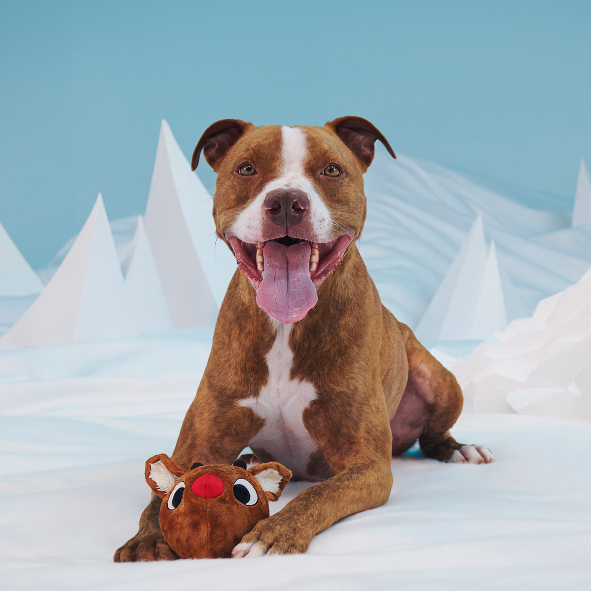 Reindeer Games™ Rudolph® Super Chewer Durable 2-in-1 + Enrichment Dog Toy