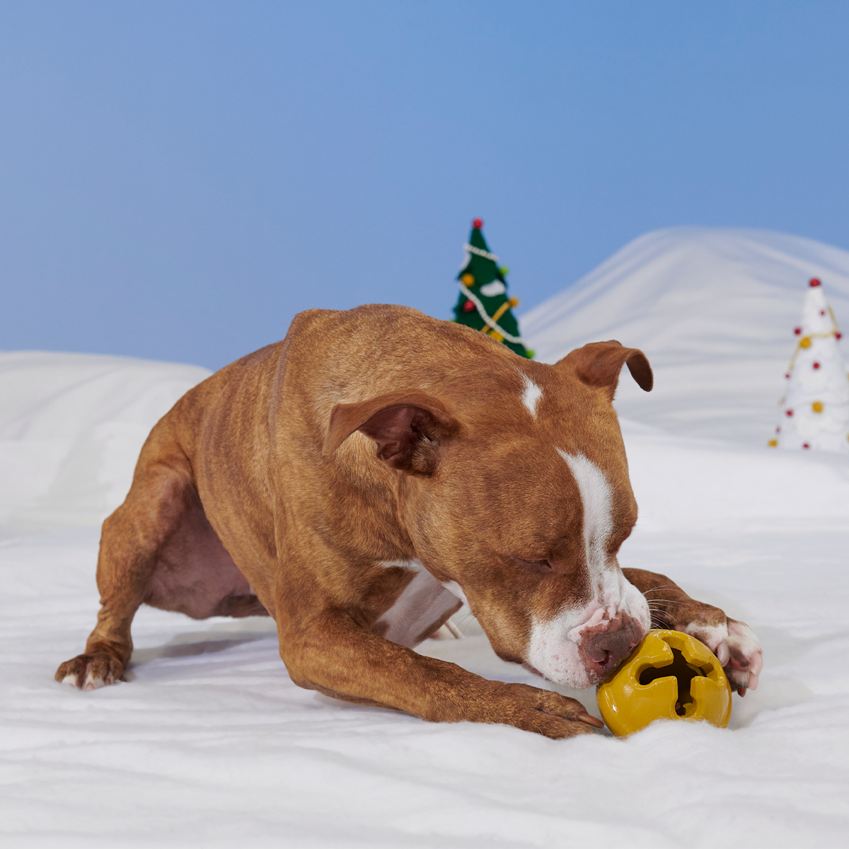 Reindeer Games™ Rudolph® Super Chewer Durable 2-in-1 + Enrichment Dog Toy