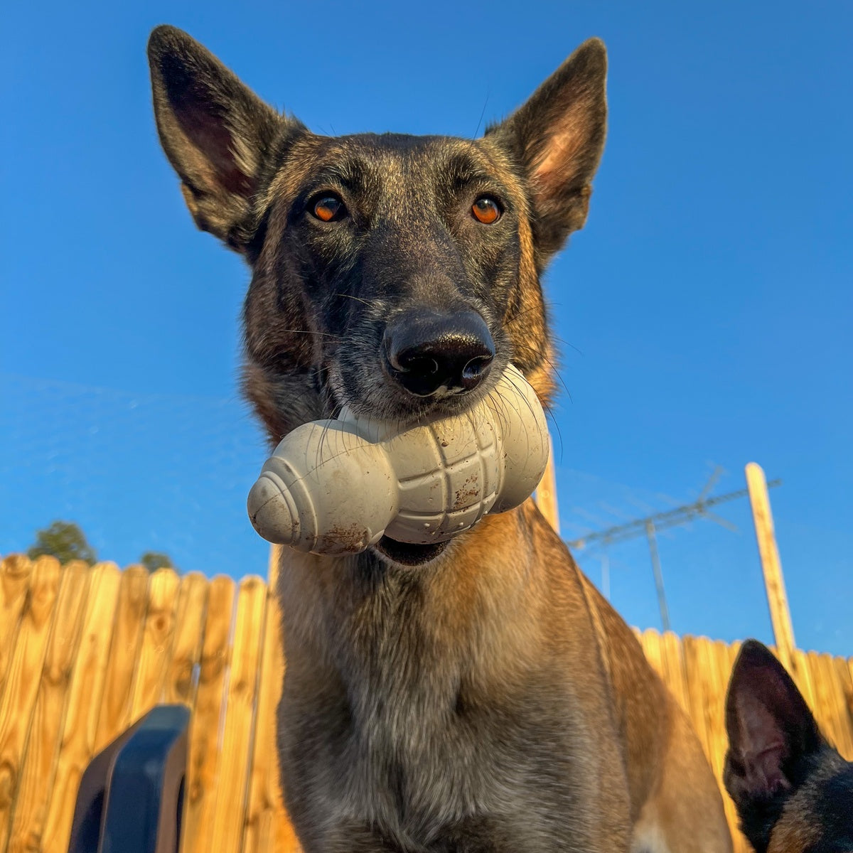 Sam the Snowman™ Super Chewer Durable Gnaw Dog Toy