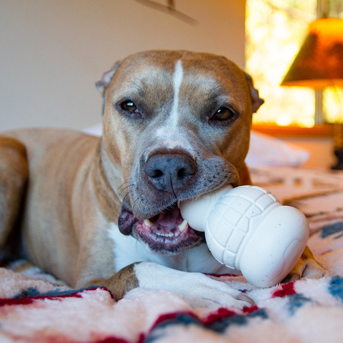 Sam the Snowman™ Super Chewer Durable Gnaw Dog Toy