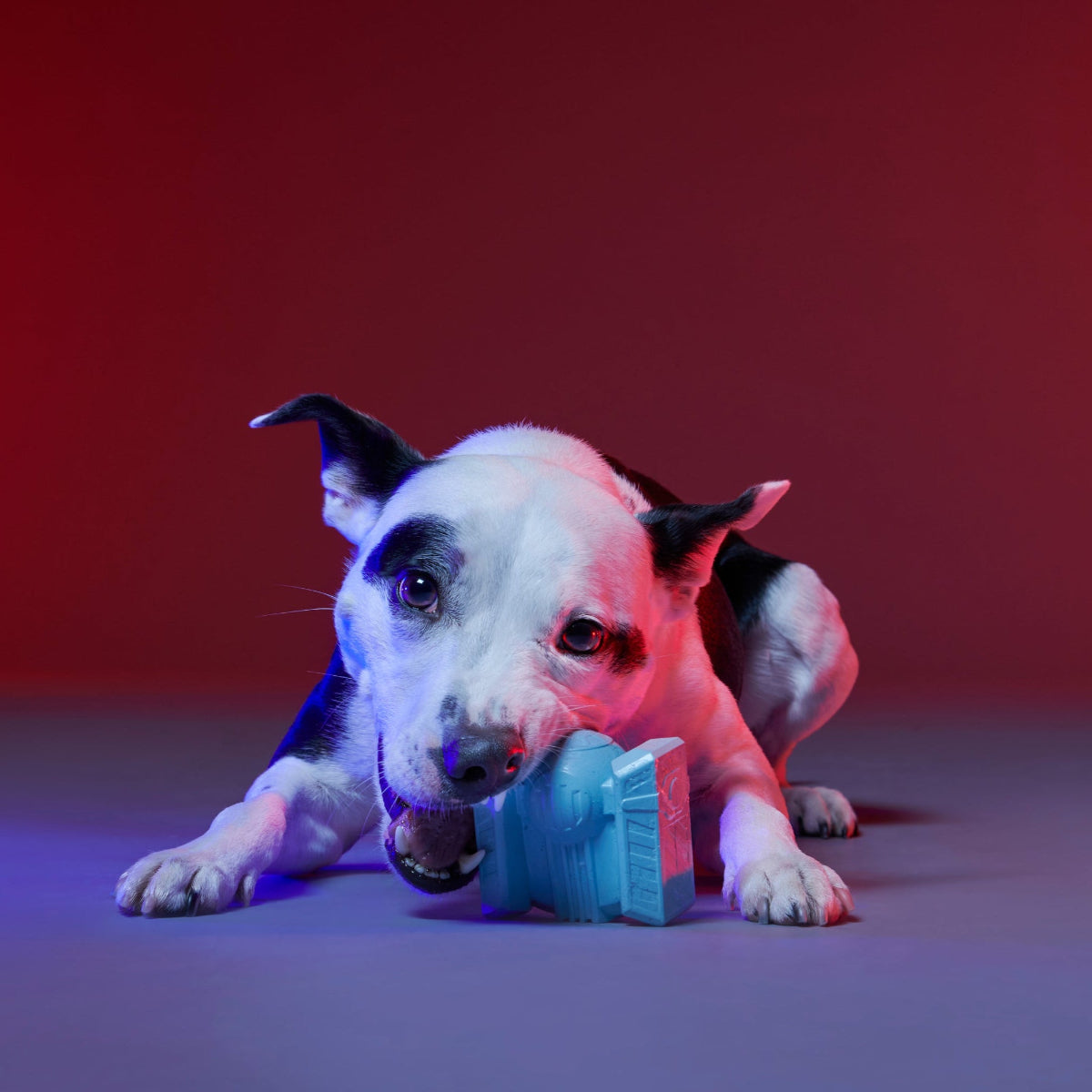 TIE Fighter™ Biter Super Chewer Durable Fetch + Gnaw Dog Toy