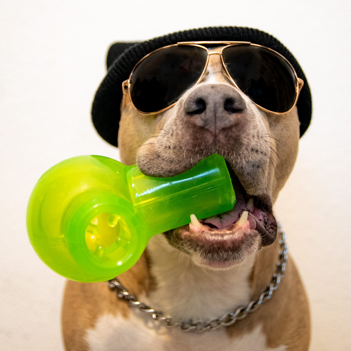 Blazin' Holidaze Dog Toy & Treat Holiday Gift Box