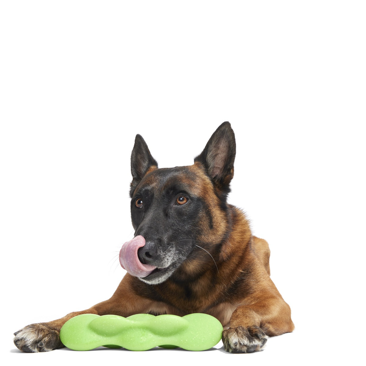Green Reef Rod Super Chewer Durable Gnaw Dog Toy
