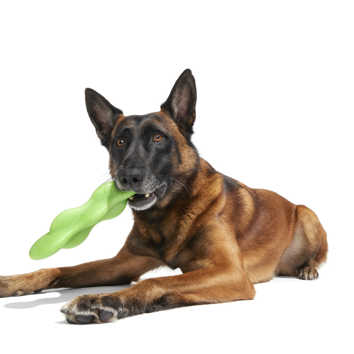 Green Reef Rod Super Chewer Durable Gnaw Dog Toy