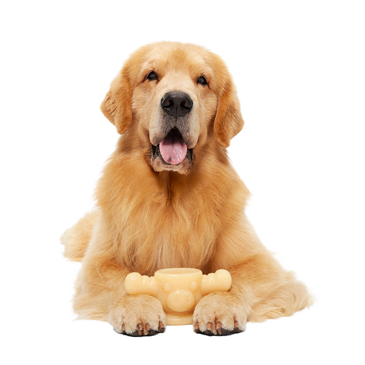 Christmas Vacation Super Chewer Durable Dog Toy Bundle