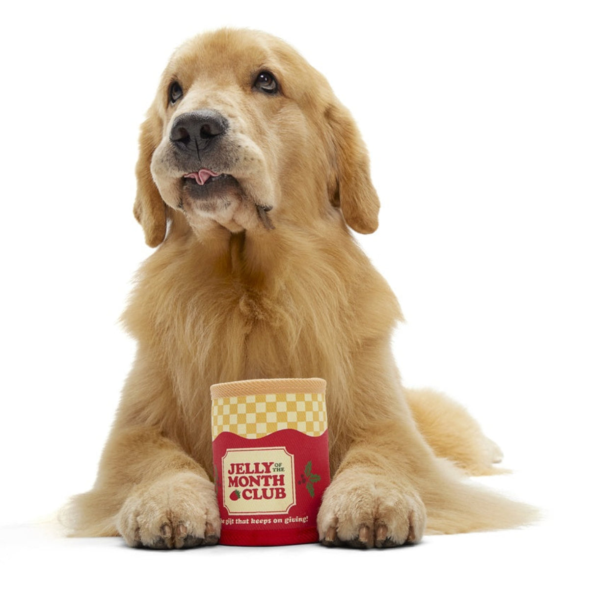 Jelly Of The Mutt Club Super Chewer Durable Multi-Part + Enrichment + Fetch Dog Toy