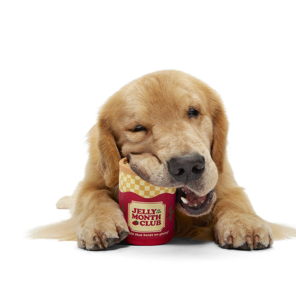 Jelly Of The Mutt Club Super Chewer Durable Multi-Part + Enrichment + Fetch Dog Toy