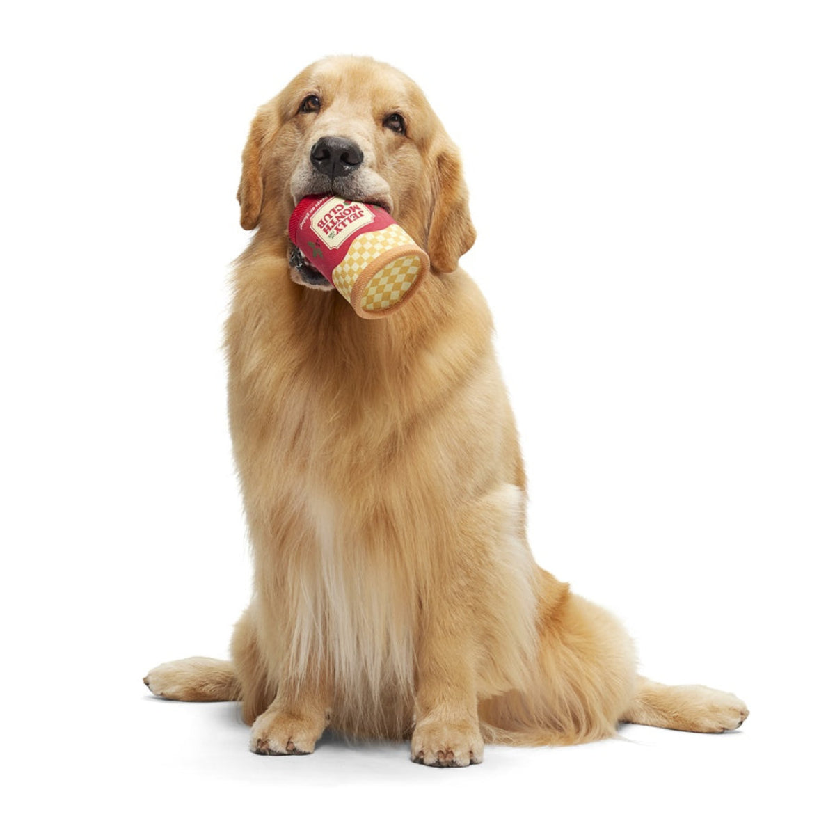 Jelly Of The Mutt Club Super Chewer Durable Multi-Part + Enrichment + Fetch Dog Toy