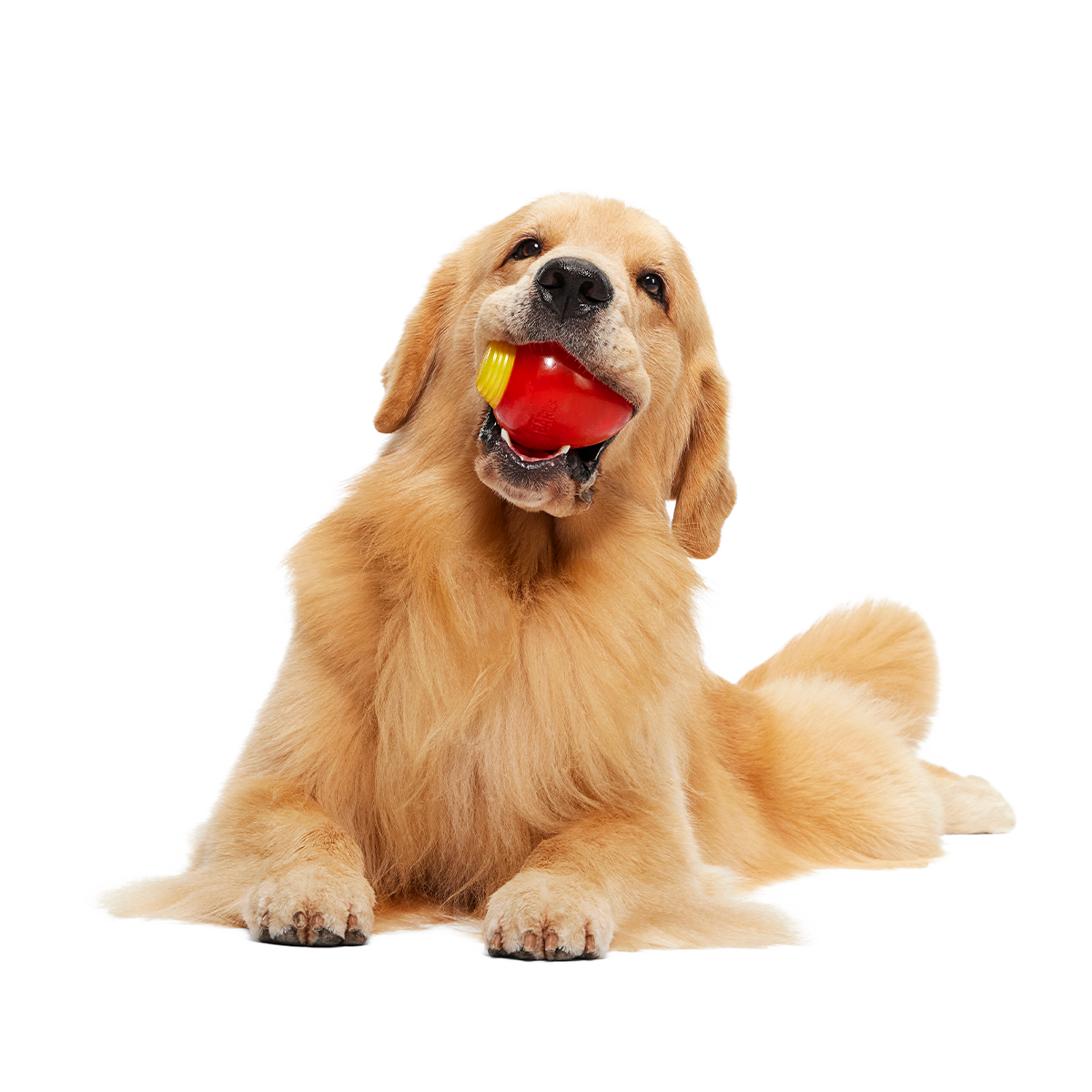 Squeak Every Bulb Super Chewer Durable Fetch Dog Toy