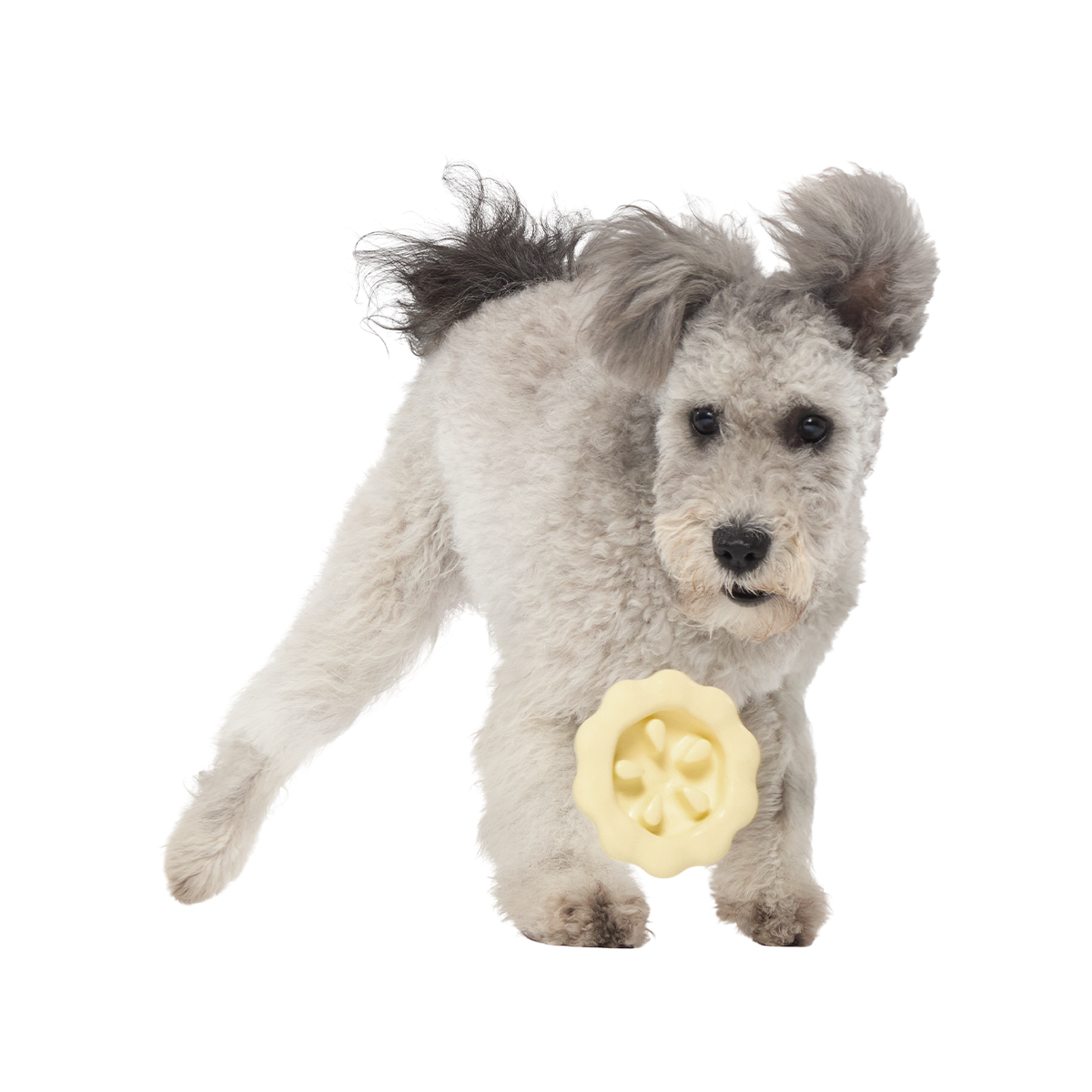 Snack Stack Pie Super Chewer Durable Enrichment Dog Toy
