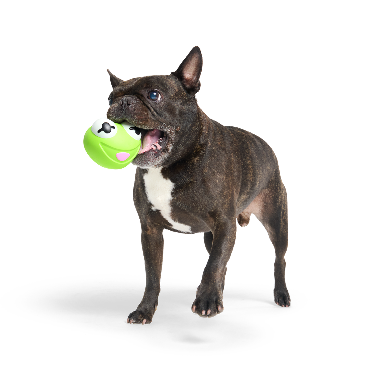 Kermit the Frog as “Bouncing Bob Catch-It"