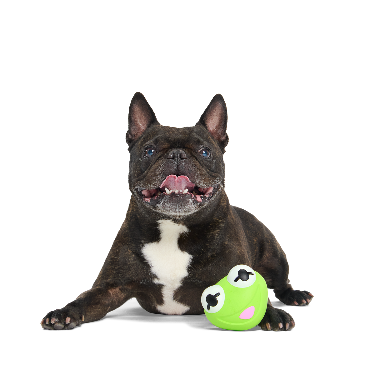 Kermit the Frog as “Bouncing Bob Catch-It"