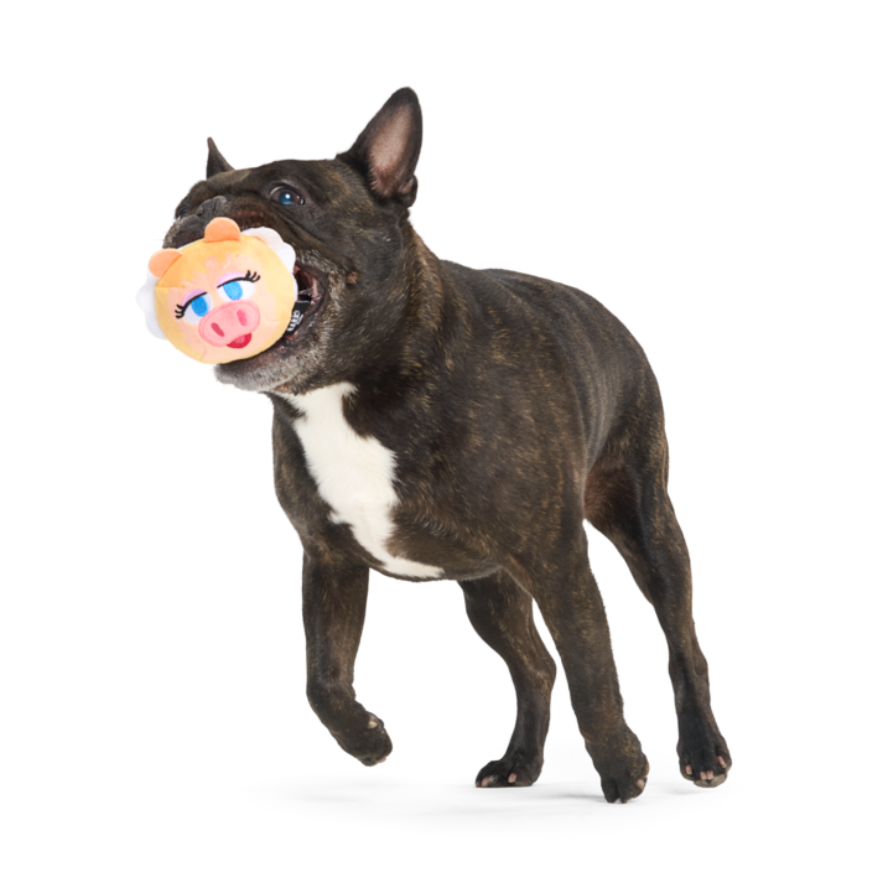 Miss Piggy as “Bouncing Emily Catch-it”