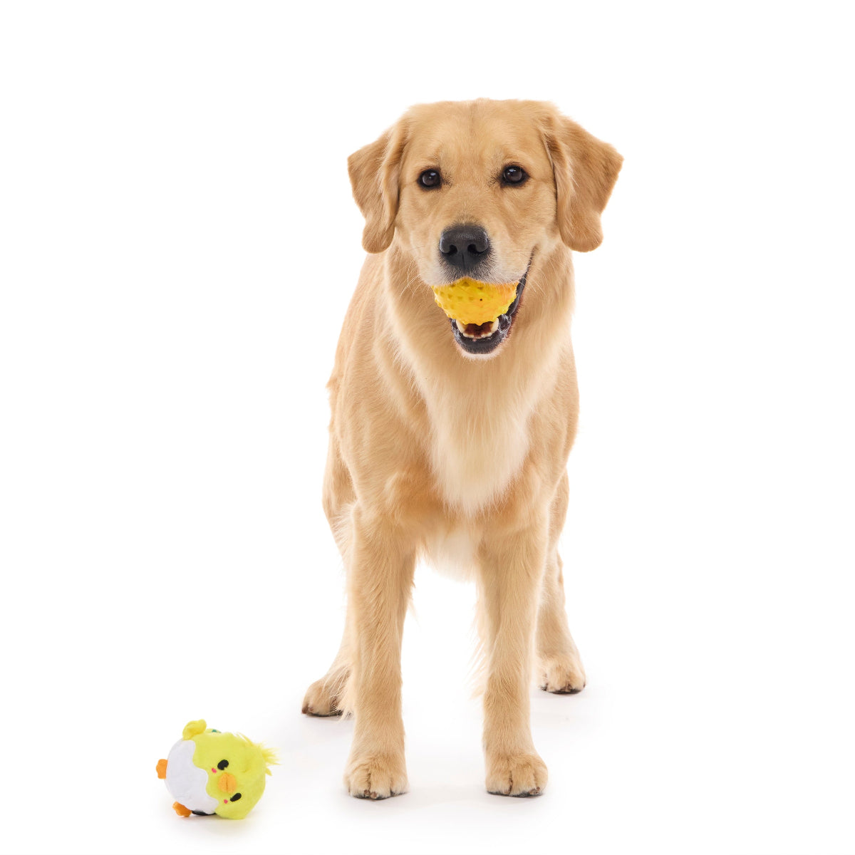 Chuck the Chick Durable Super Chewer 2-in-1 Rip and Reveal + Fetch Dog Toy