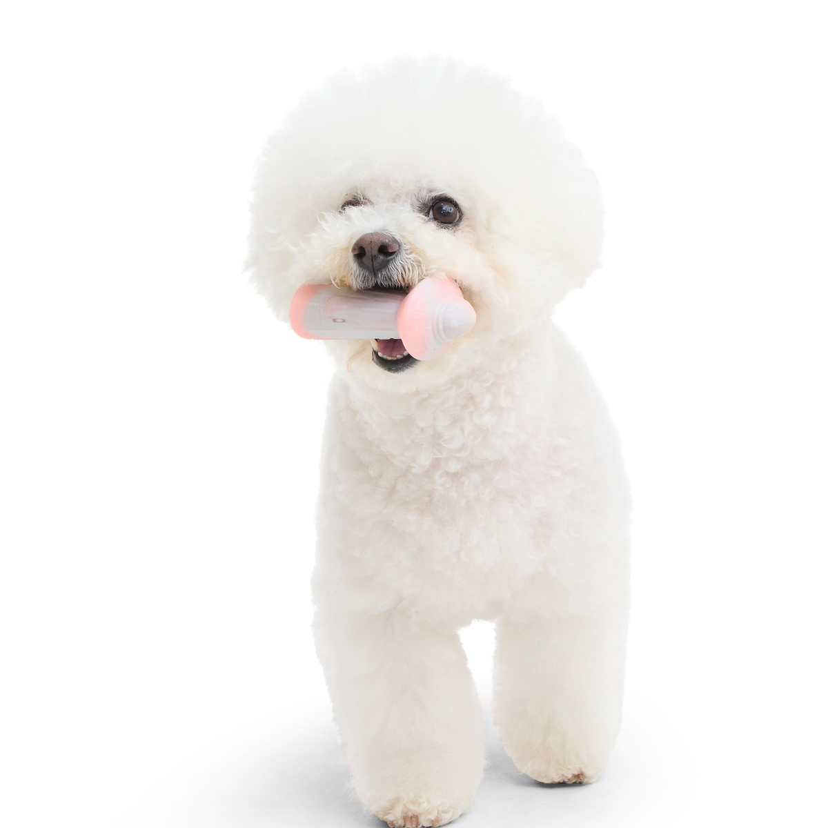 U.F.O.M.G. Super Chewer Durable Gnaw Dog Toy