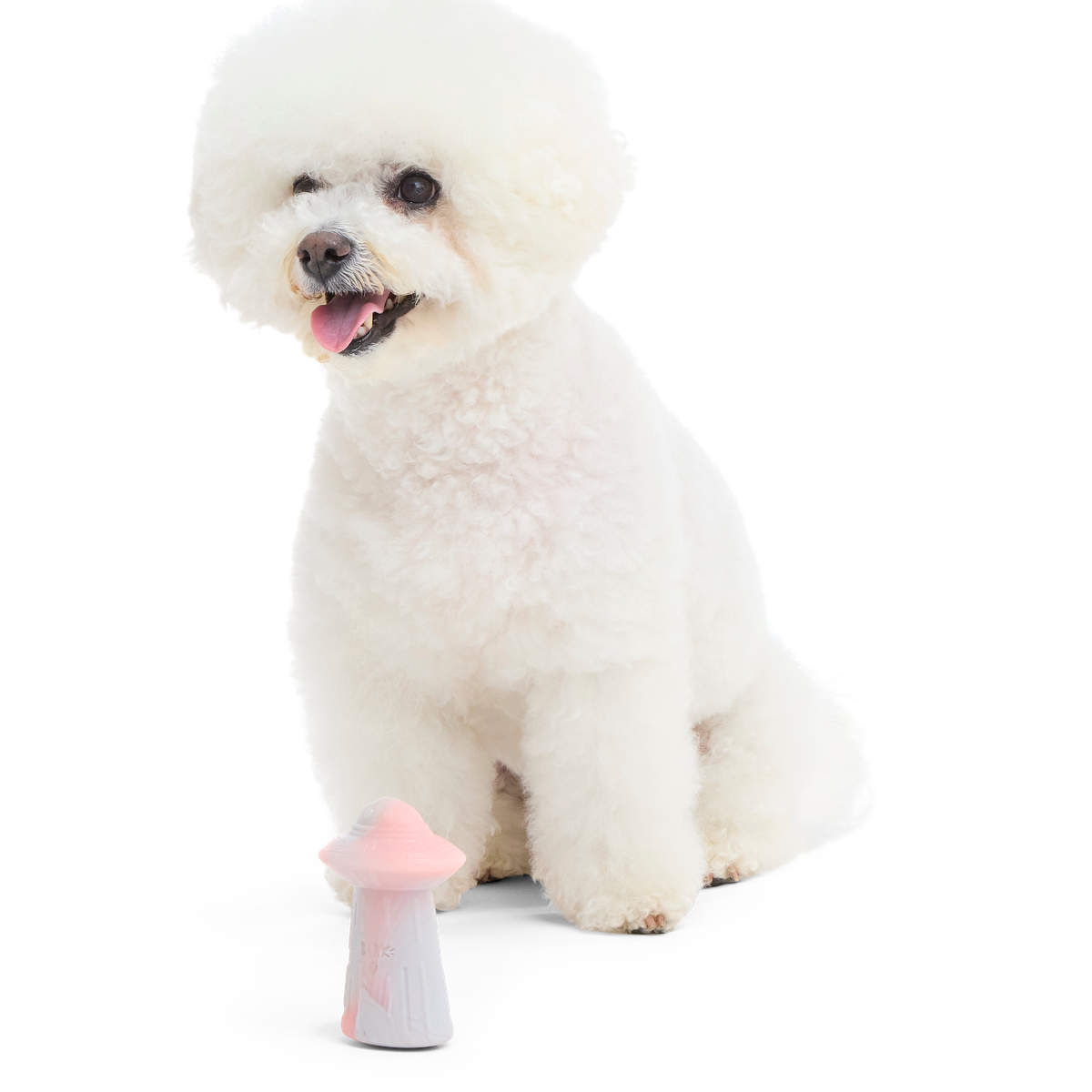 U.F.O.M.G. Super Chewer Durable Gnaw Dog Toy