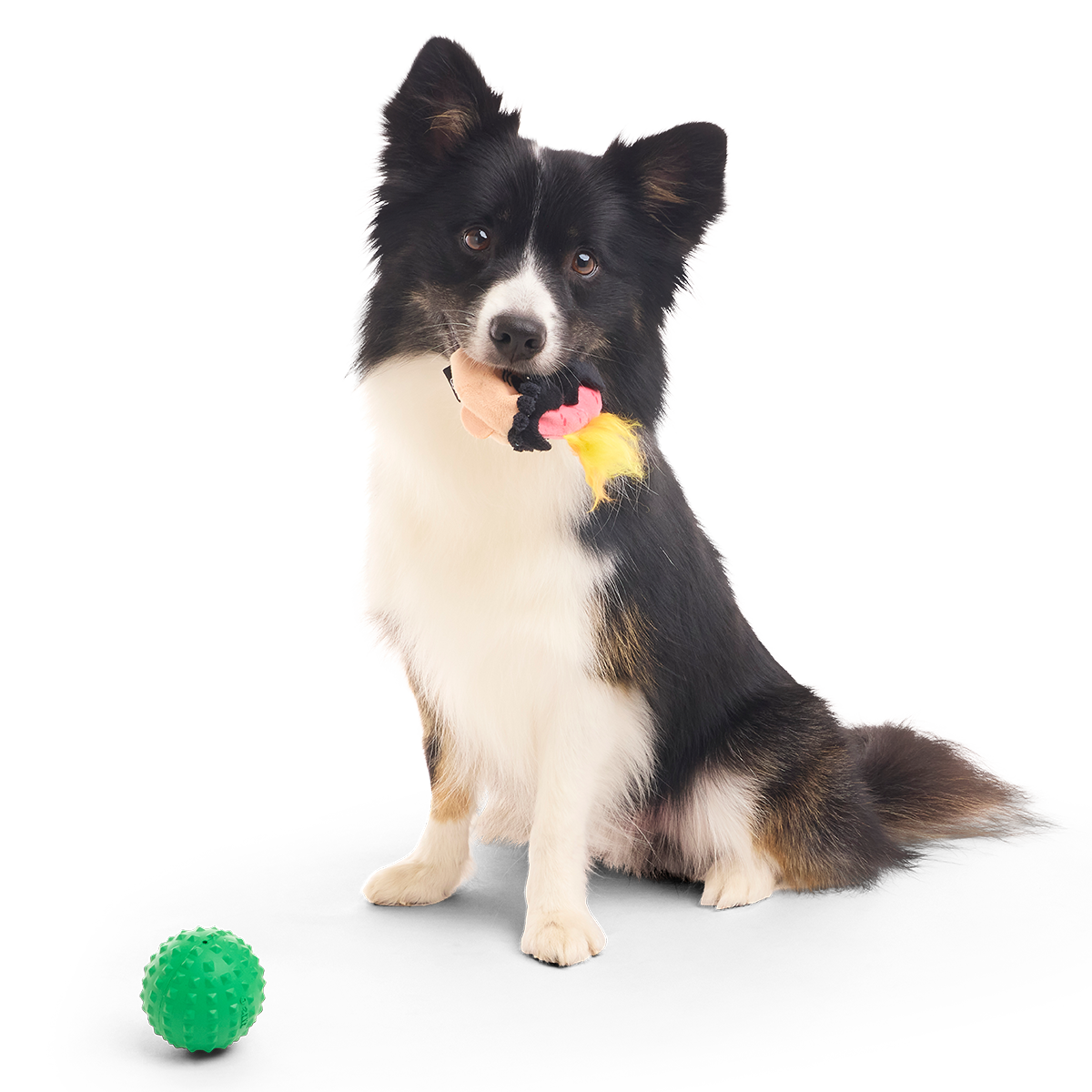 Hot Headed Harry Super Chewer Durable 2-in-1 + Fetch Dog Toy