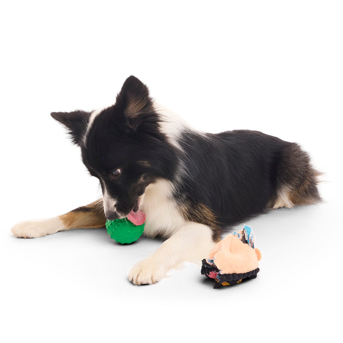 Hot Headed Harry Super Chewer Durable 2-in-1 + Fetch Dog Toy