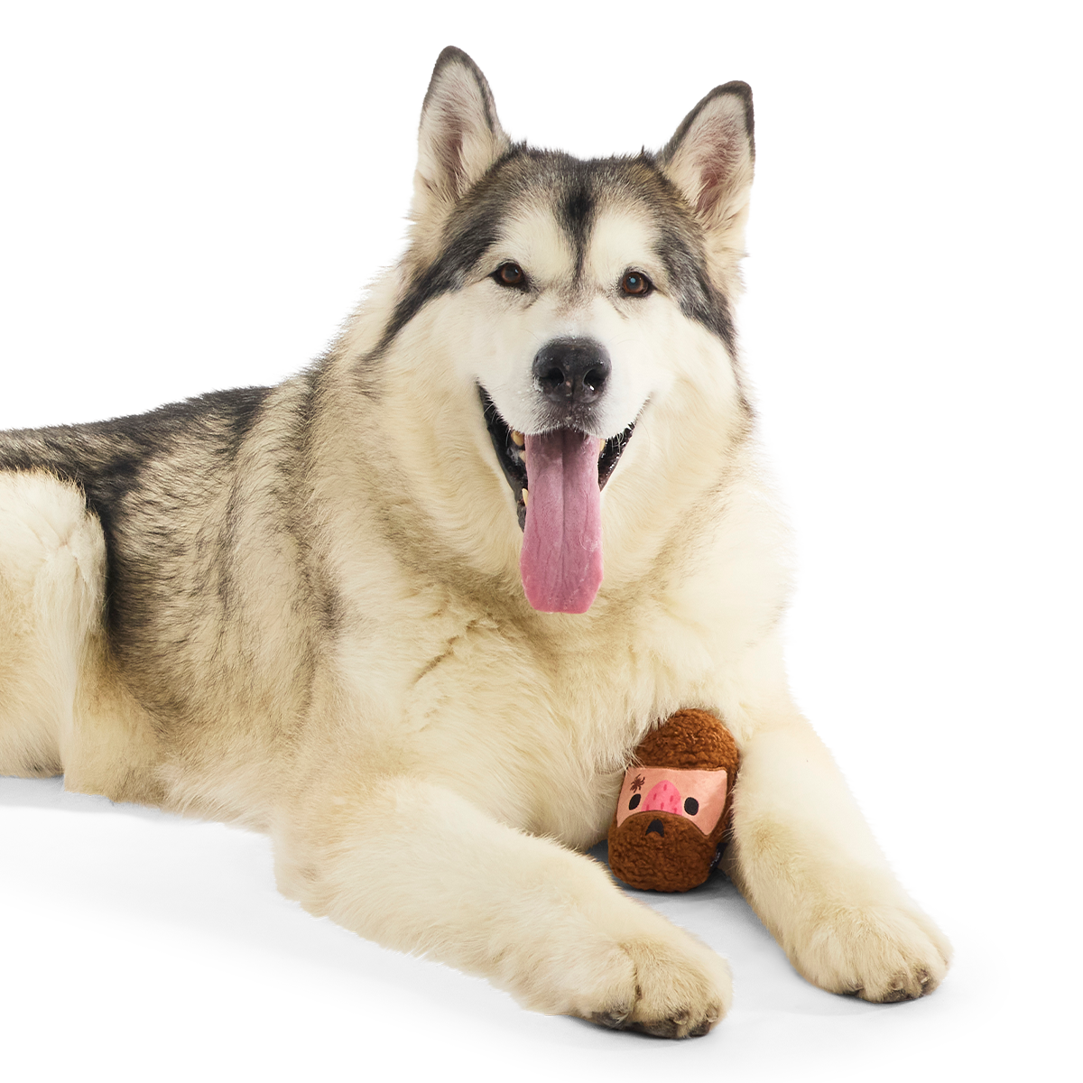 Mean Mad Marv Super Chewer Durable 2-in-1 Dog Toy