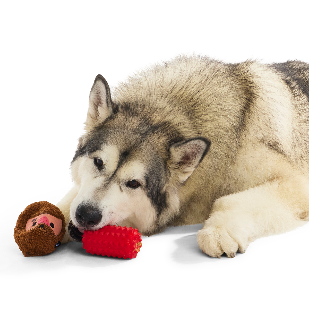 Mean Mad Marv Super Chewer Durable 2-in-1 Dog Toy