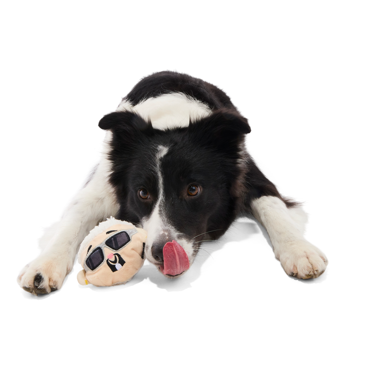 Gnawcklehead Super Chewer Durable Enrichment + Fetch Dog Toy