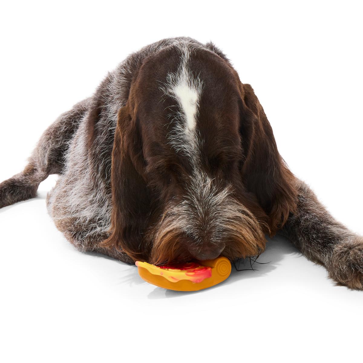 Barkaroni Slice Super Chewer Durable Gnaw Dog Toy