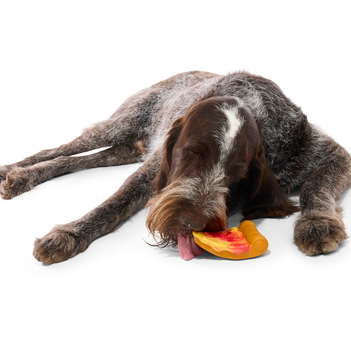 Barkaroni Slice Super Chewer Durable Gnaw Dog Toy