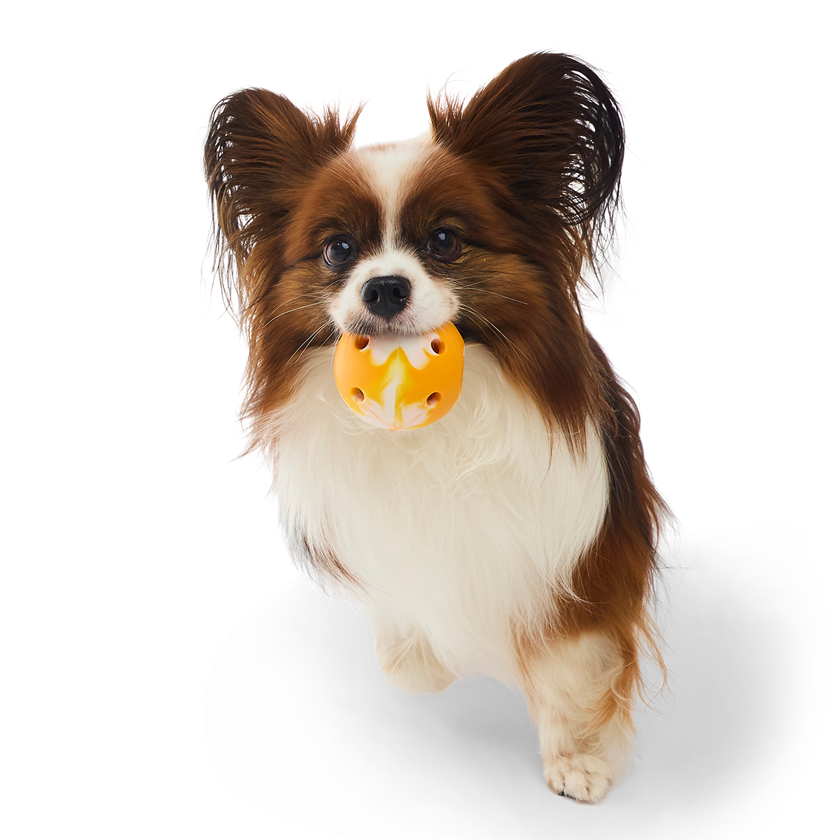 Crocs™ N' Roll Ball Super Chewer Durable Fetch + Enrichment Dog Toy