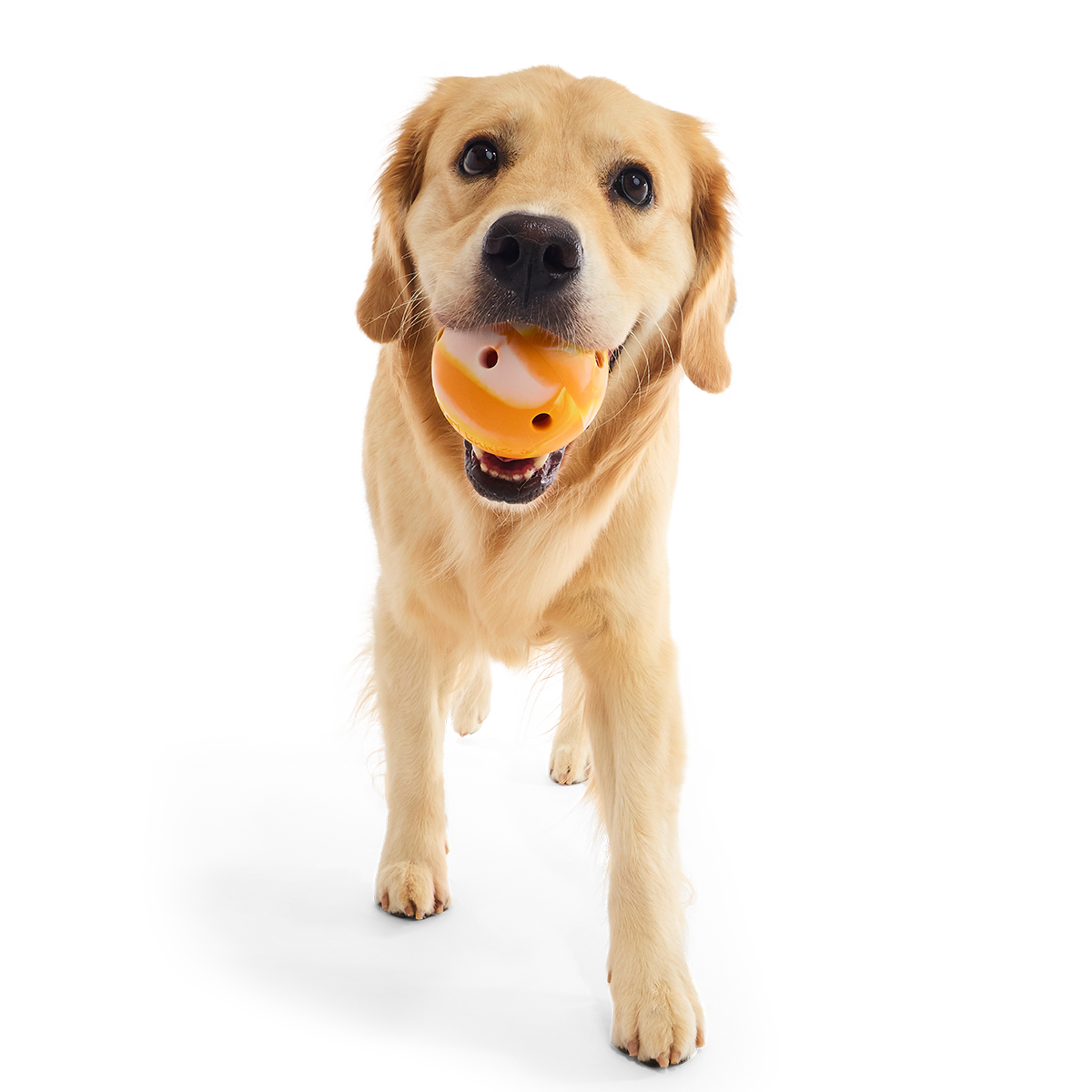 Crocs™ N' Roll Ball Super Chewer Durable Fetch + Enrichment Dog Toy