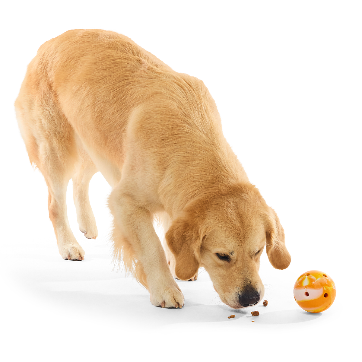 Crocs™ N' Roll Ball Super Chewer Durable Fetch + Enrichment Dog Toy